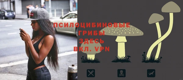 гидра Мегион
