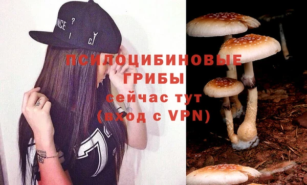 мяу мяу мука Медвежьегорск