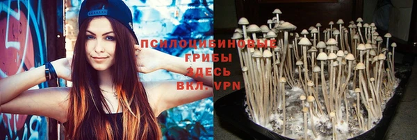 мяу мяу мука Медвежьегорск