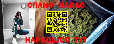 молекула духа Пенза