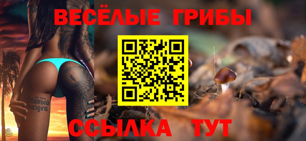 Псилоцибиновые грибы прущие грибы  Вход с VPN  Ярцево 