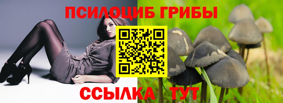 Псилоцибиновые грибы Cubensis Ярцево