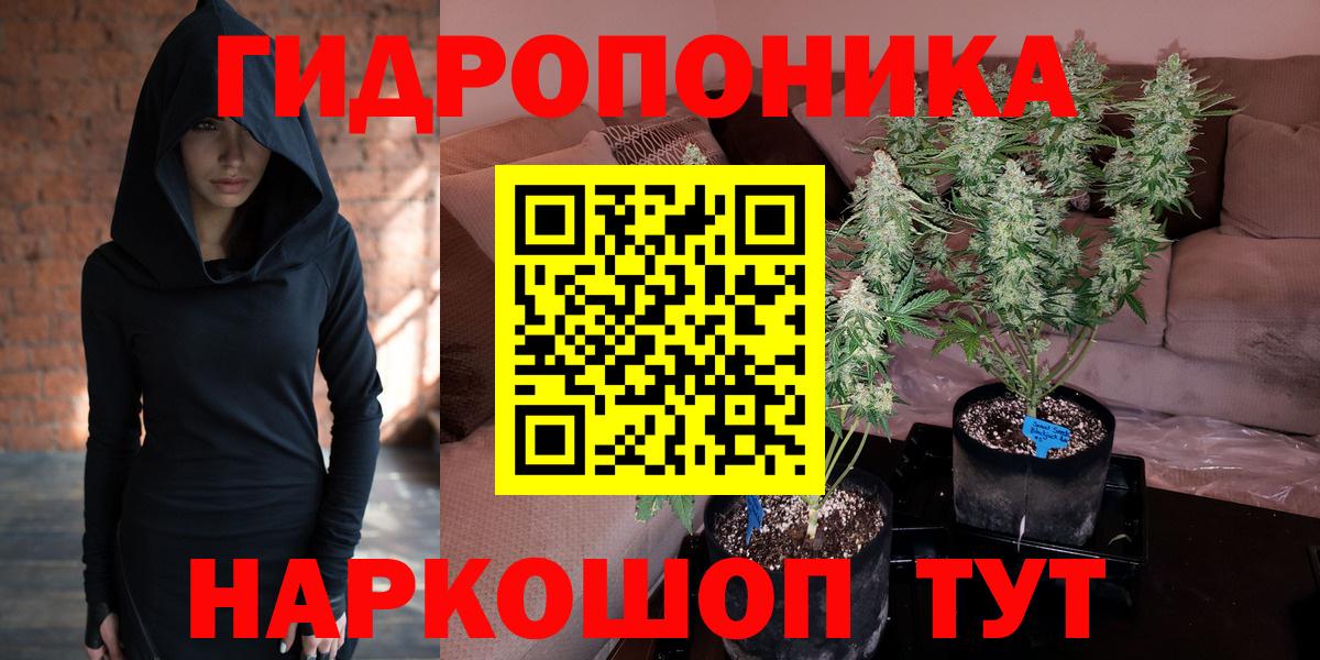 Бошки Шишки планчик  Вход с VPN  Марихуана THC 21%  Шишки марихуана конопля  Ярцево  Бошки Шишки THC 21% 